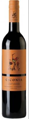 Ciconia - Touriga Nacional Syrah Aragones Alentejano NV (1.5L) (1.5L)